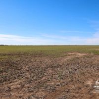 Kansas Farmland and Pasture Land Auction in Sumner County