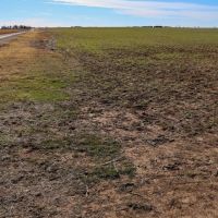 Kansas Farmland and Pasture Land Auction in Sumner County images 3