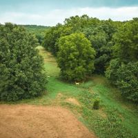 Knobby Creek Lane Edwards MO. images 2