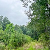 341 Acres FM 1475 images 5