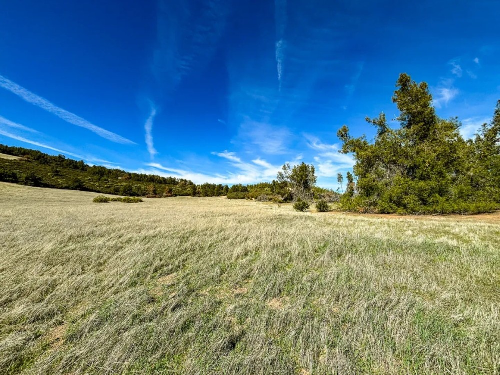 640 - acres near Ft. Hunter Liggett and BLM Land featured image