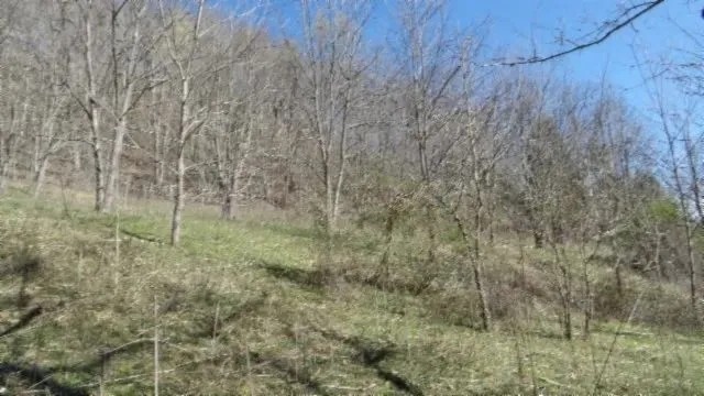 35.68 AC W POND CREEK ROCK FORMATIONS VIEWS BUILDING SITE GREAT HUNTING featured image