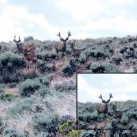 Sand Creek Ranch