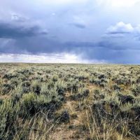 Sand Creek Ranch images 2
