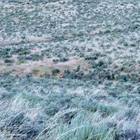 Sand Creek Ranch images 3
