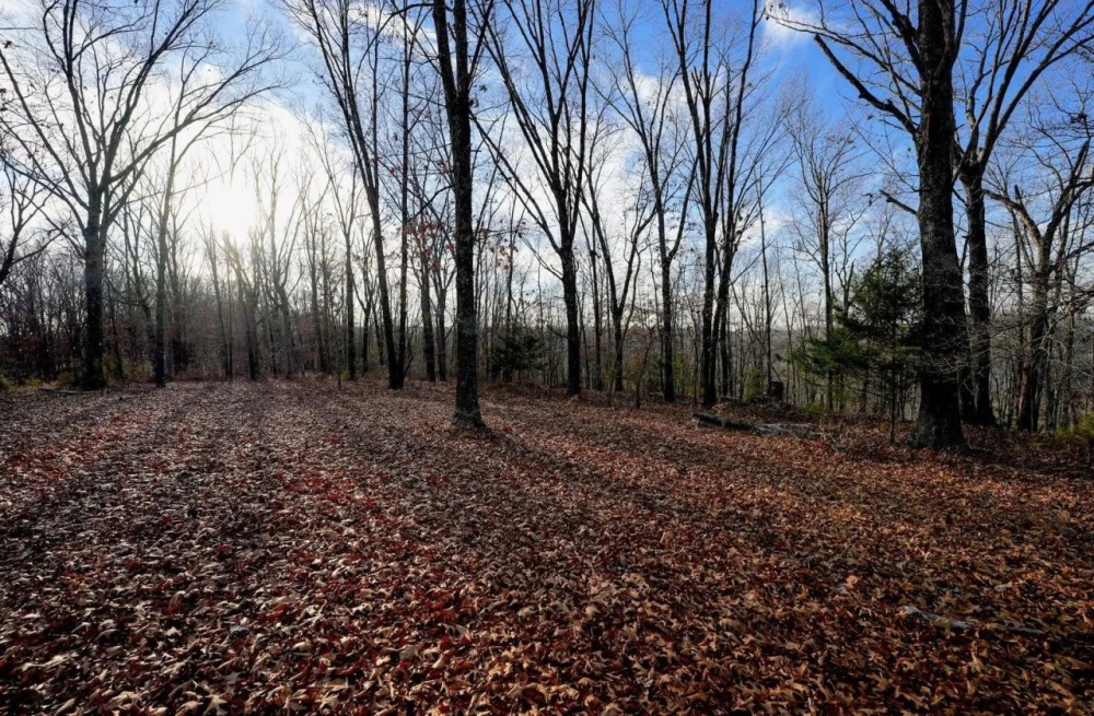 Secluded Ozarks Hunting And Rec Tract For Sale featured image