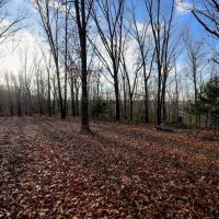 Secluded Ozarks Hunting And Rec Tract For Sale