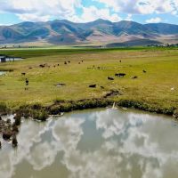 Samaria Lake Farm images 3