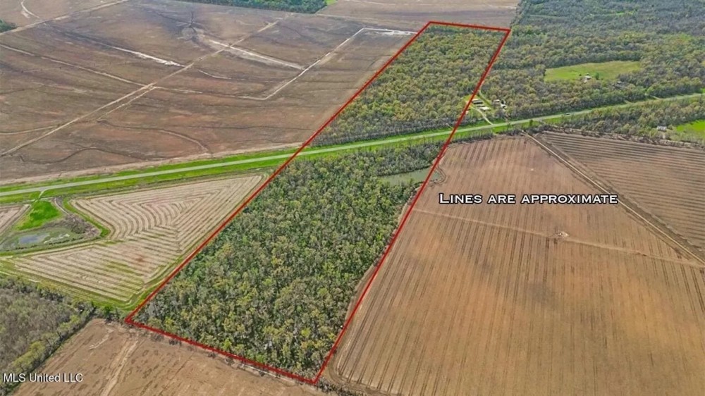 Affordable Deer Duck Combination in Concordia Parish featured image