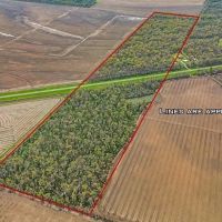 Affordable Deer Duck Combination in Concordia Parish