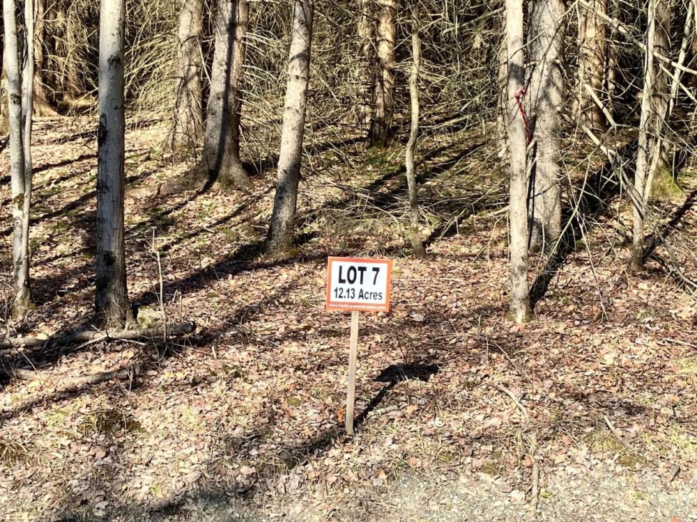 12 acre Building Lot in Sanford NY 50 Buchanan Rd featured image