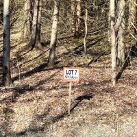 12 acre Building Lot in Sanford NY 50 Buchanan Rd
