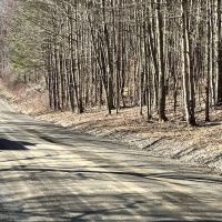 12 acre Building Lot in Sanford NY 50 Buchanan Rd images 3