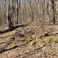 12 acre Building Lot in Sanford NY 50 Buchanan Rd images 5