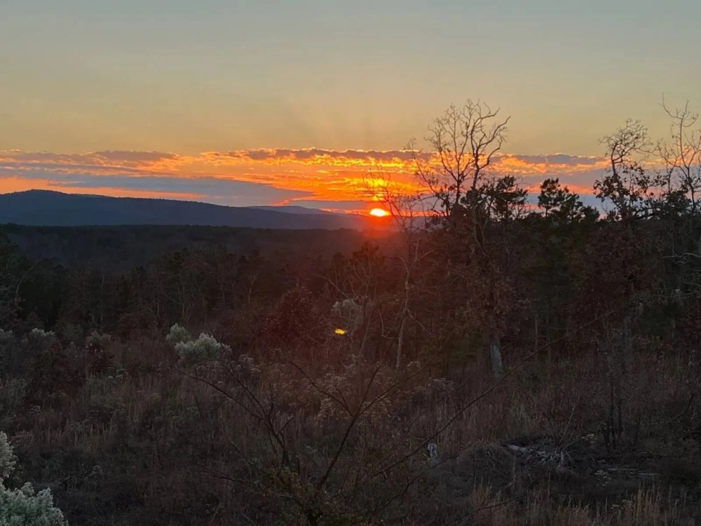 80 ACRES AND CABIN HUNTING PARADISE featured image