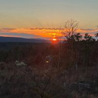 80 ACRES AND CABIN HUNTING PARADISE