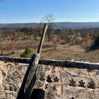 80 ACRES AND CABIN HUNTING PARADISE images 4