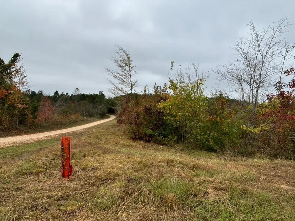 Diverse Land Opportunities Up to 108 - Acres Near Hamilton AL featured image