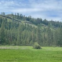 Welch Creek Road
