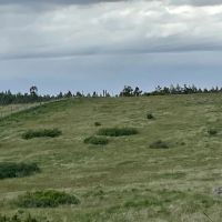 Welch Creek Road images 4
