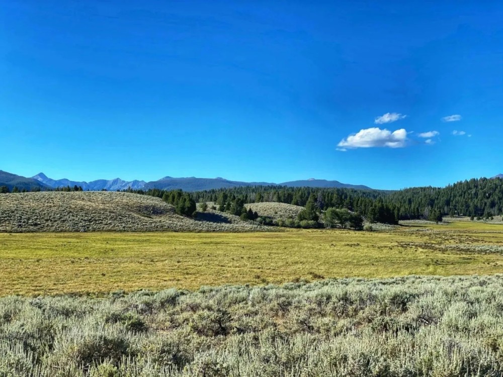 Pintler Creek Ranch featured image