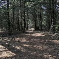 Premier Hunting and Recreational Property in Monroe County images 2