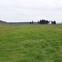 Four J Ranch images 5
