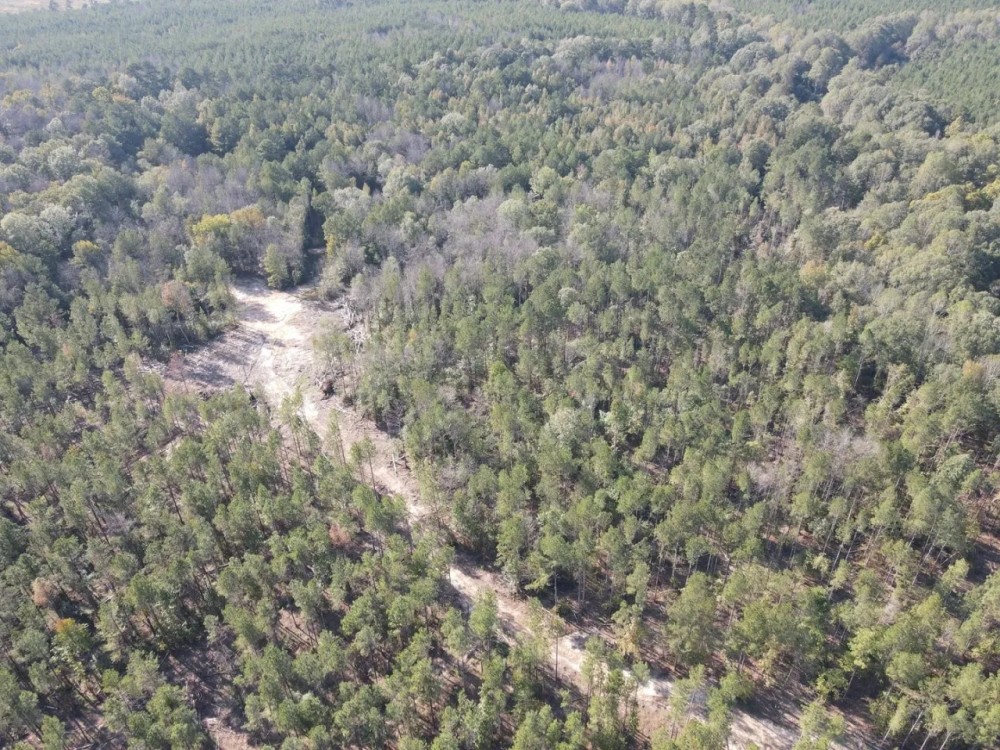 222 Acres in Copiah County MS featured image
