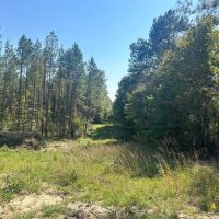 222 Acres in Copiah County MS images 2
