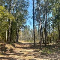 222 Acres in Copiah County MS images 5