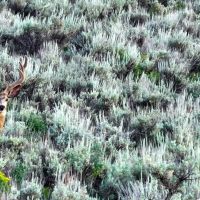 Big Ragged Mountain Ranch images 2