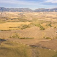 The SxS Ranch Estate images 4