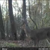 Calera Outdoor Paradise images 2