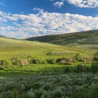Tomichi Dome Hunting Ranch images 2