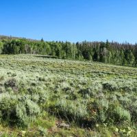 Tomichi Dome Hunting Ranch images 3