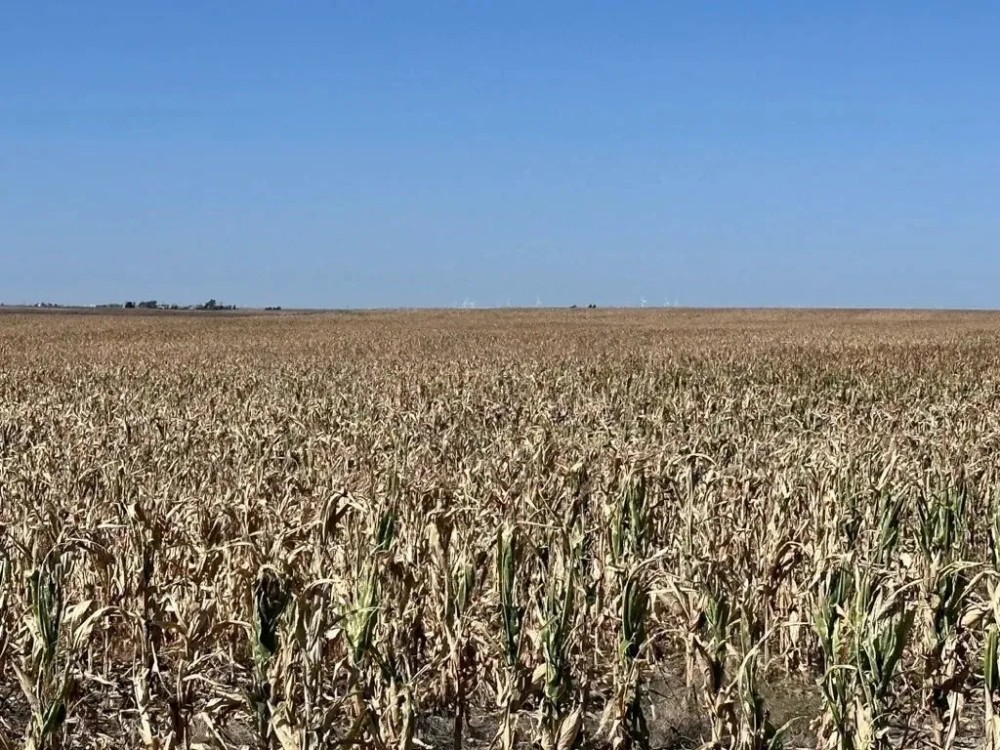 High Production Flagler Colorado Farmland featured image