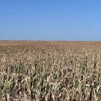 High Production Flagler Colorado Farmland images 2
