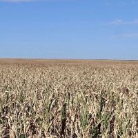 High Production Flagler Colorado Farmland images 3
