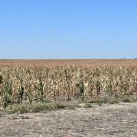 High Production Flagler Colorado Farmland images 4