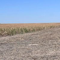 High Production Flagler Colorado Farmland images 5