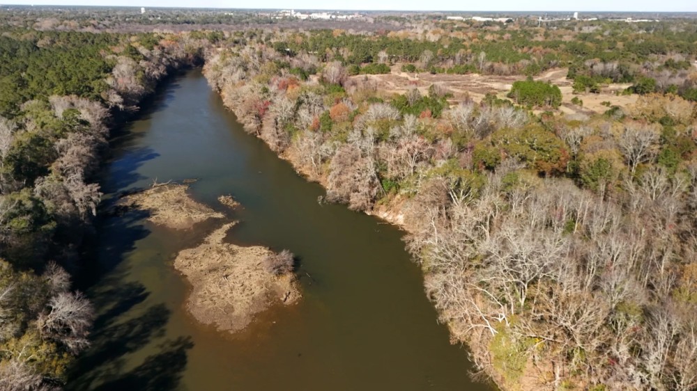 Prime Recreational Tract - Albany GA featured image