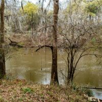 Prime Recreational Tract - Albany GA images 3