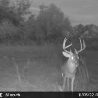 Prime Recreational Tract - Albany GA images 5