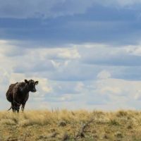 Lucky 7 Ranch images 3