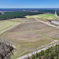210 acres of Farmland and Timberland with a Pond For Sale in Nash County NC images 2