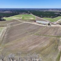 210 acres of Farmland and Timberland with a Pond For Sale in Nash County NC images 3