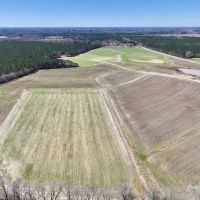 210 acres of Farmland and Timberland with a Pond For Sale in Nash County NC images 4