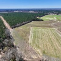 210 acres of Farmland and Timberland with a Pond For Sale in Nash County NC images 5