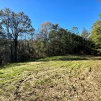 Tunnel Springs Hunting Timber Retreat images 5