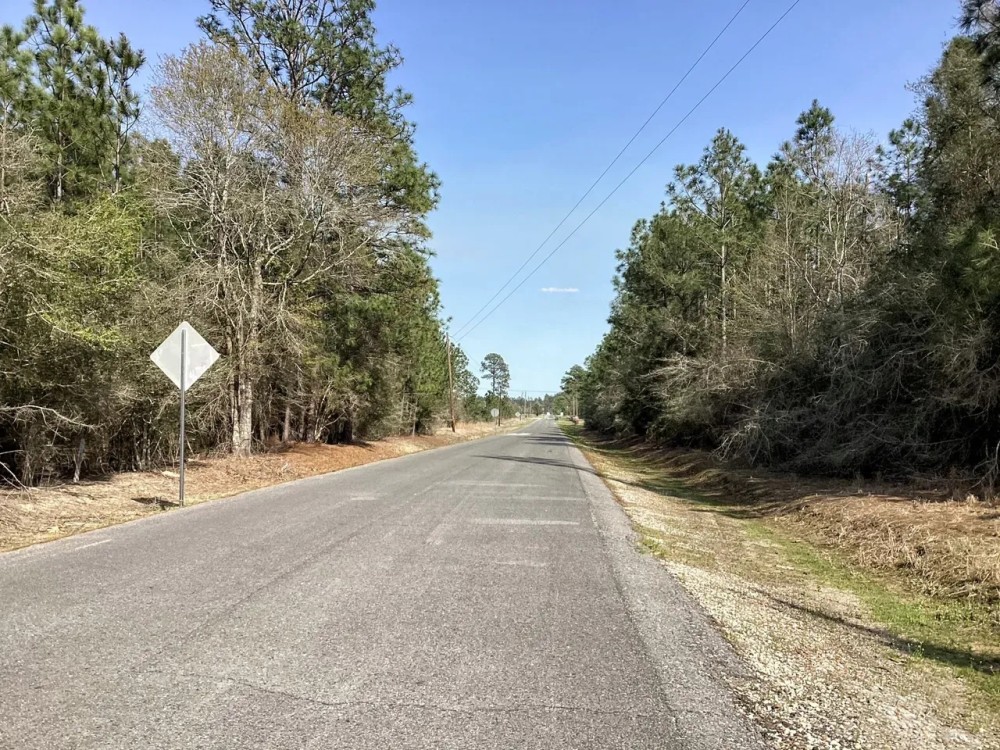 Stagecoach Lane Tract Calcasieu Parish 40 Acres featured image